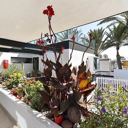 Maspalomas Beach Apartment Charca 1 Dış mekan fotoğraf